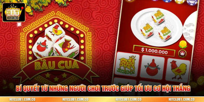 Bí quyết từ những người chơi trước giúp tối ưu cơ hội thắng