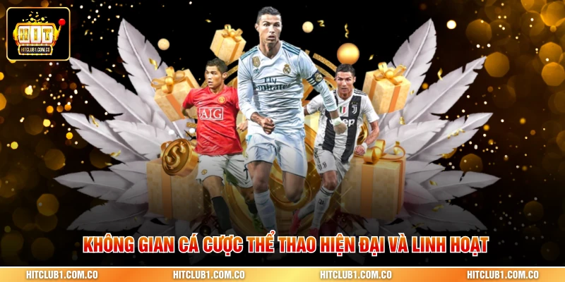 Không gian cá cược thể thao hiện đại và linh hoạt